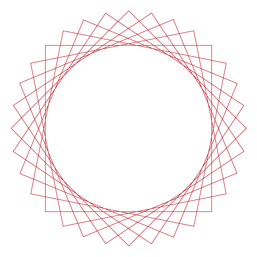 Geometric spherical grid with intersecting white and red lines on black background.